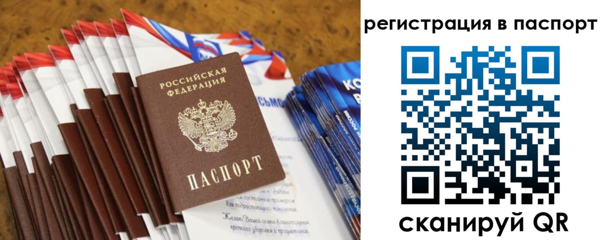 временная регистрация собственник в Бабаево